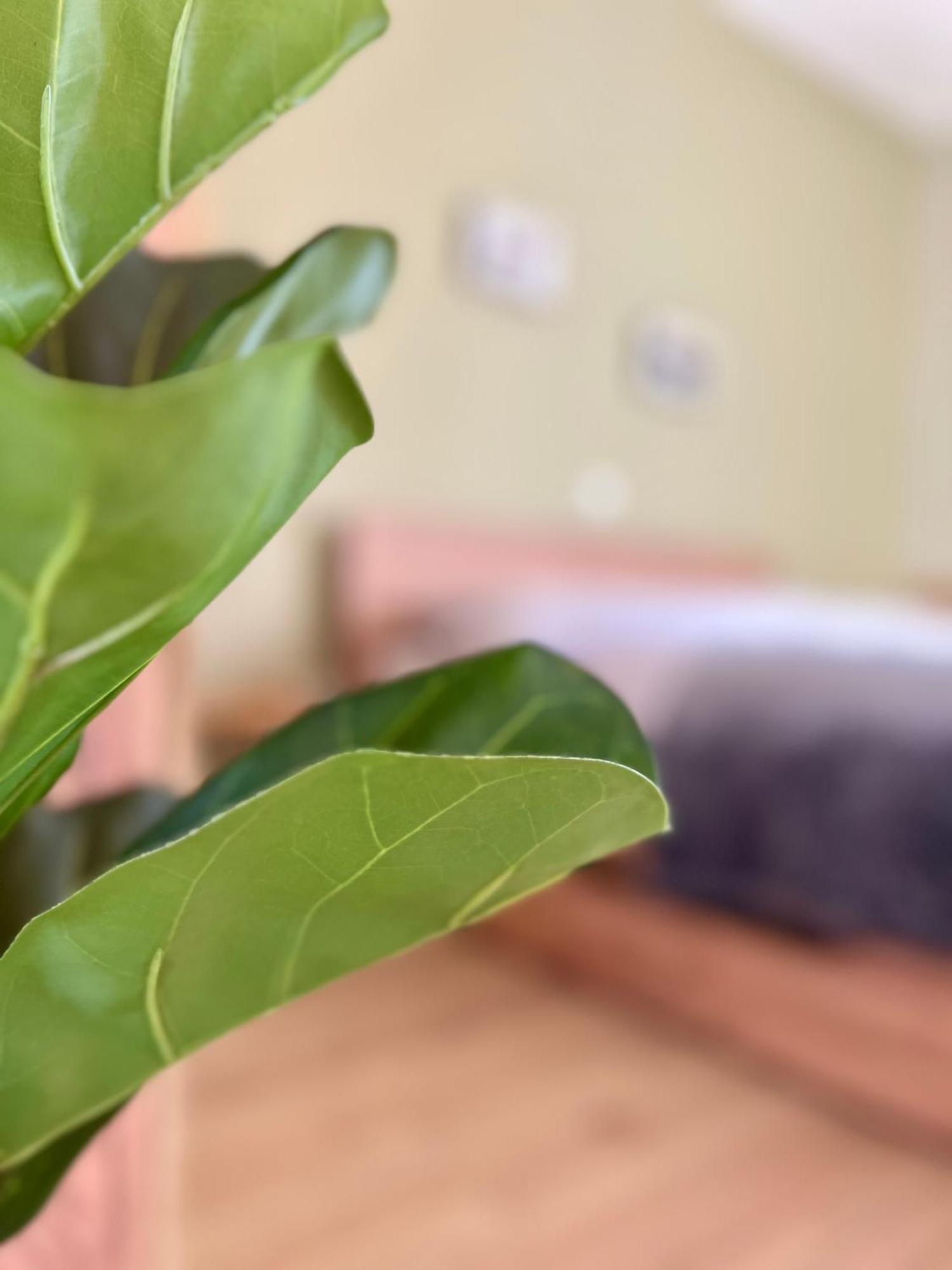 Edessa Woodland Retreat Διαμέρισμα Εξωτερικό φωτογραφία